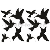 Samolepky na stenu - vtáky kolibríci 45 x 65 cm