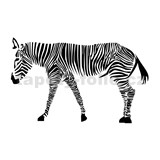 Samolepky na stenu zebra