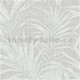 Vliesové tapety na stenu IMPOL NEU listy palmy bielo-sivé metalické na sivom podklade