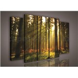 Obraz na plátne les s východom slnka 150 x 100 cm