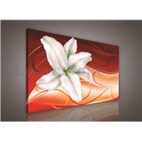 Obraz na plátne ľalie na oranžovom podklade 75 x 100 cm