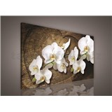 Obraz na stenu biela orchidea na drevenom srdci 100 x 75 cm