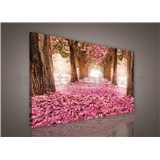Obraz na stenu alej stromov 75 x 100 cm