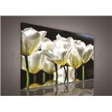 Obraz na stenu biele kvety 75 x 100 cm