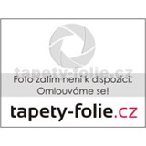 Samolepiace ukončovacie pásiky čierny lesklý 1,8 cm x 5 m