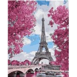 Maľovanie podľa čísel magnólie v Paríži rozmer 40 x 50 cm