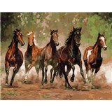 Maľovanie podľa čísel stádo koní rozmer 40 x 50 cm
