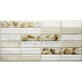 Obkladové 3D PVC panely rozmer 955 x 480 mm obklad biely s mušľami