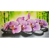 Obkladové panely 3D PVC rozmer 1002 x 602 mm orchidea na kameňoch