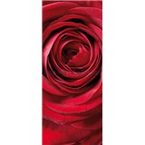 Vliesové fototapety ruže rozmer 92 cm x 220 cm - POSLEDNÉ KUSY