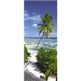 Vliesové fototapety palma na pláži rozmer 92 cm x 220 cm