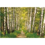 Fototapety brezy, rozmer 368 x 254 cm