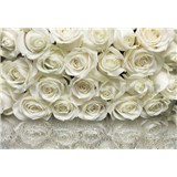 Fototapety biele ruže, rozmer 368 x 254 cm - POSLEDNÉ KUSY