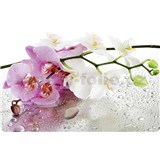 Dekoratívne prestieranie na stôl ORCHID rozmer 250 x 410 mm