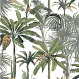 Vliesové tapety na stenu tropické rastliny